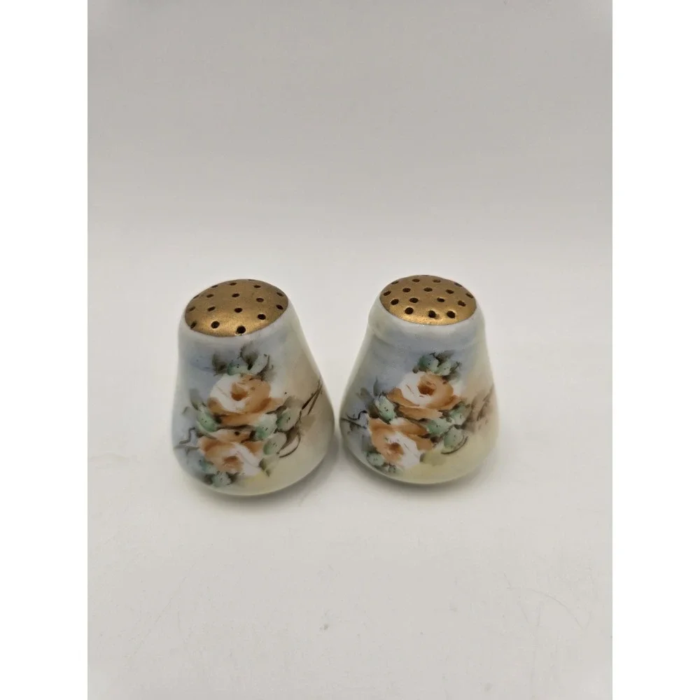Vintage Porcelain China Salt And pepper‎ Shakers Handpainted Roses Gold Accents
